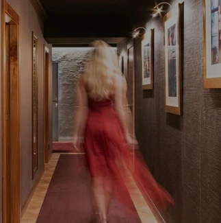 Puticlub lujoso en España, Felina Madrid