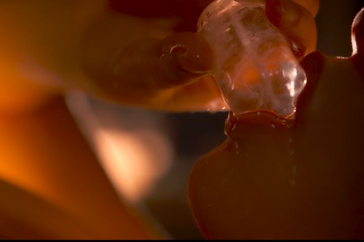 Servicio de escort para francés natural